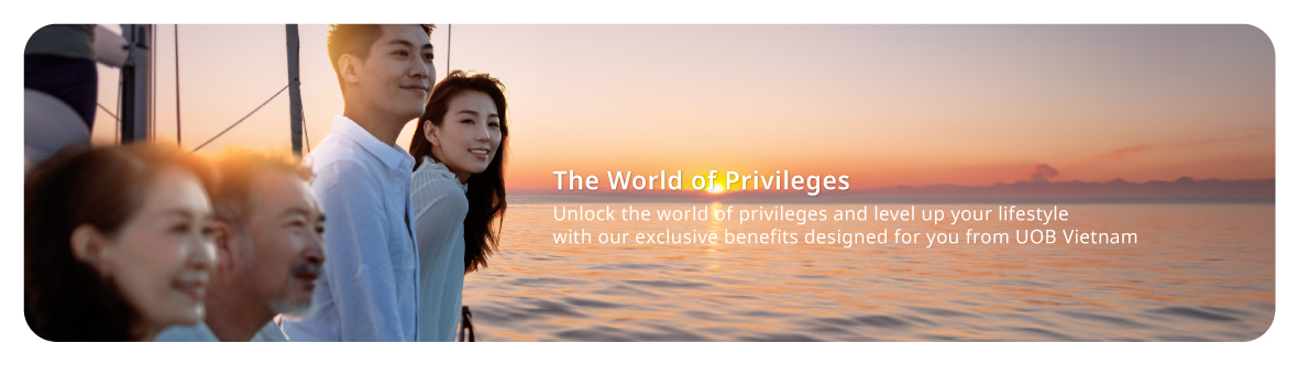 The World of Privileges