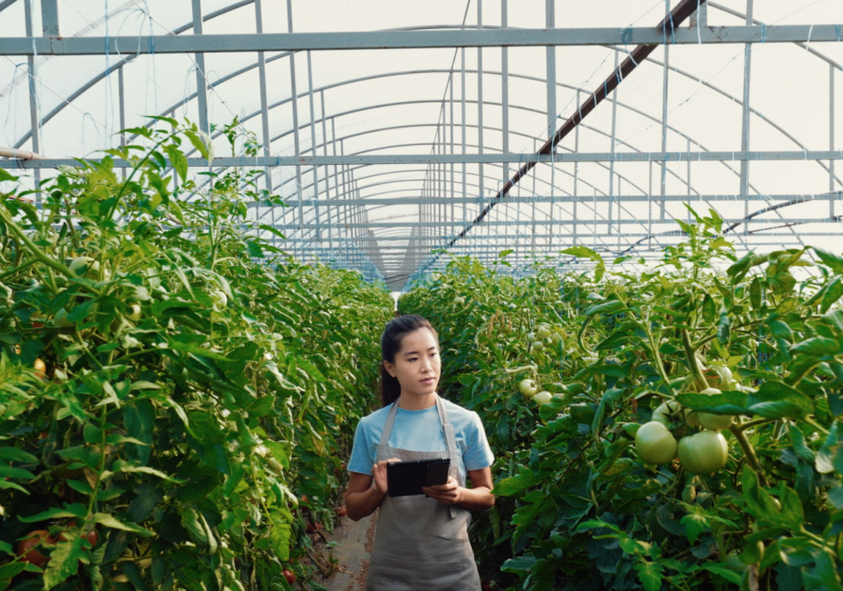 Ứng dụng UOB SME