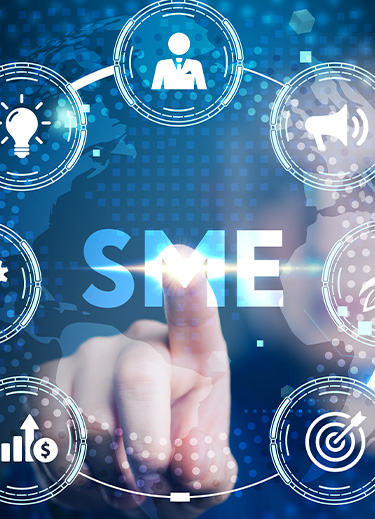 Which factors do SMEs need for successful digital transformation?