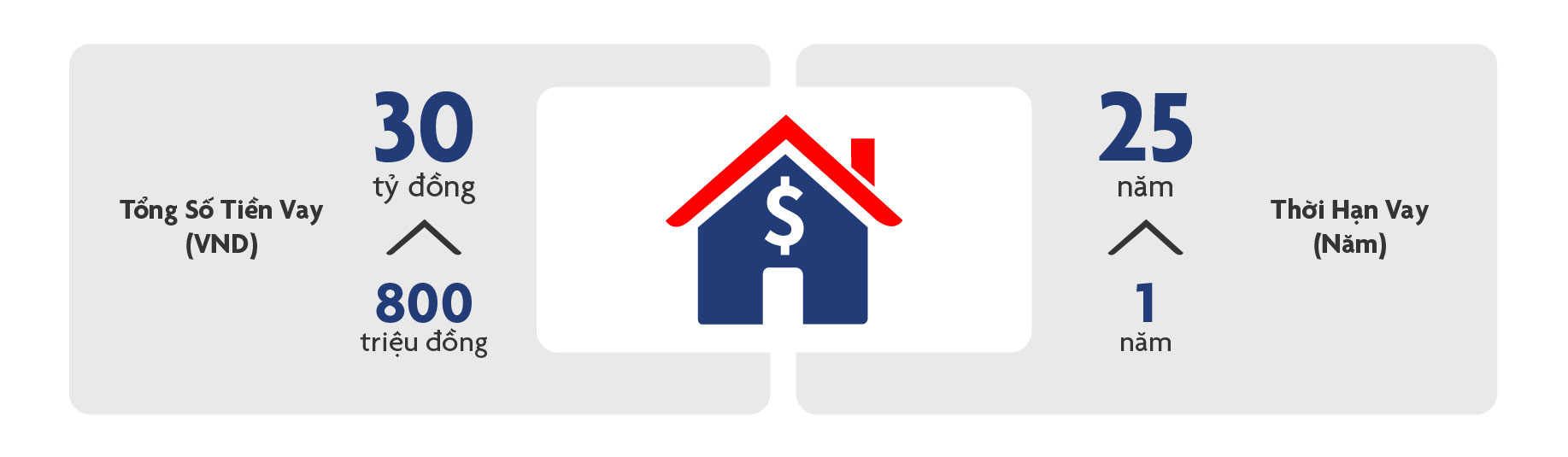 Thời hạn và Giá trị khoản vay
