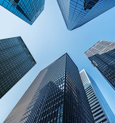 Tổng quan thị trường 2021