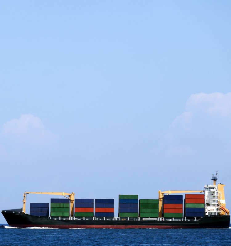 Strategy for diversifying Vietnamese export markets