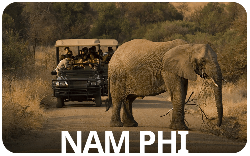 Nam Phi