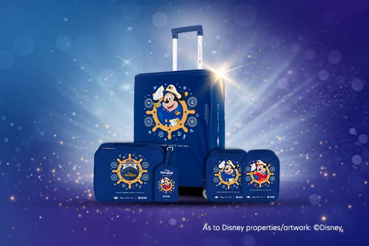 /Disney-themed Luggage Set