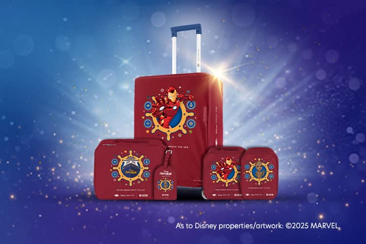 /Marvel-themed Luggage Set