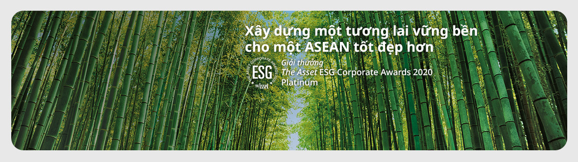 xây dựng một tương lai vững bền
